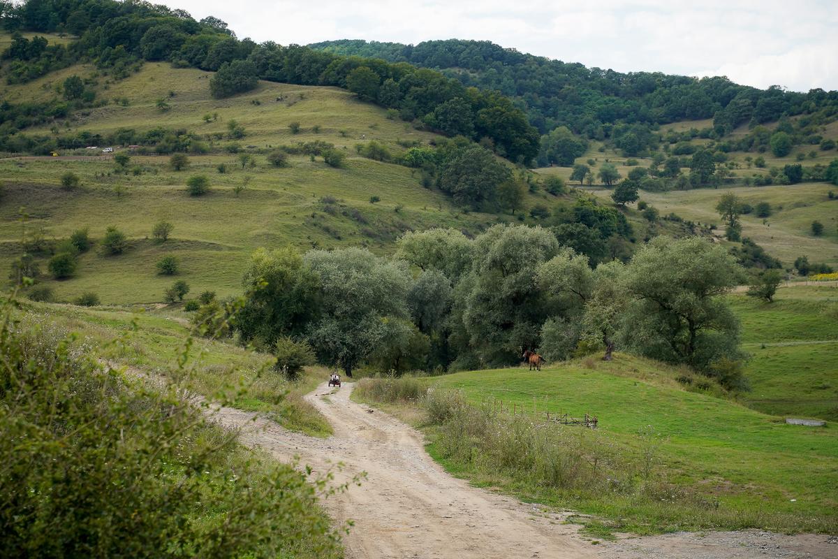„Acest traseu mi-a schimbat percepția despre România” » Traseul Via Transilvanica poate fi explorat virtual pe Google Street View