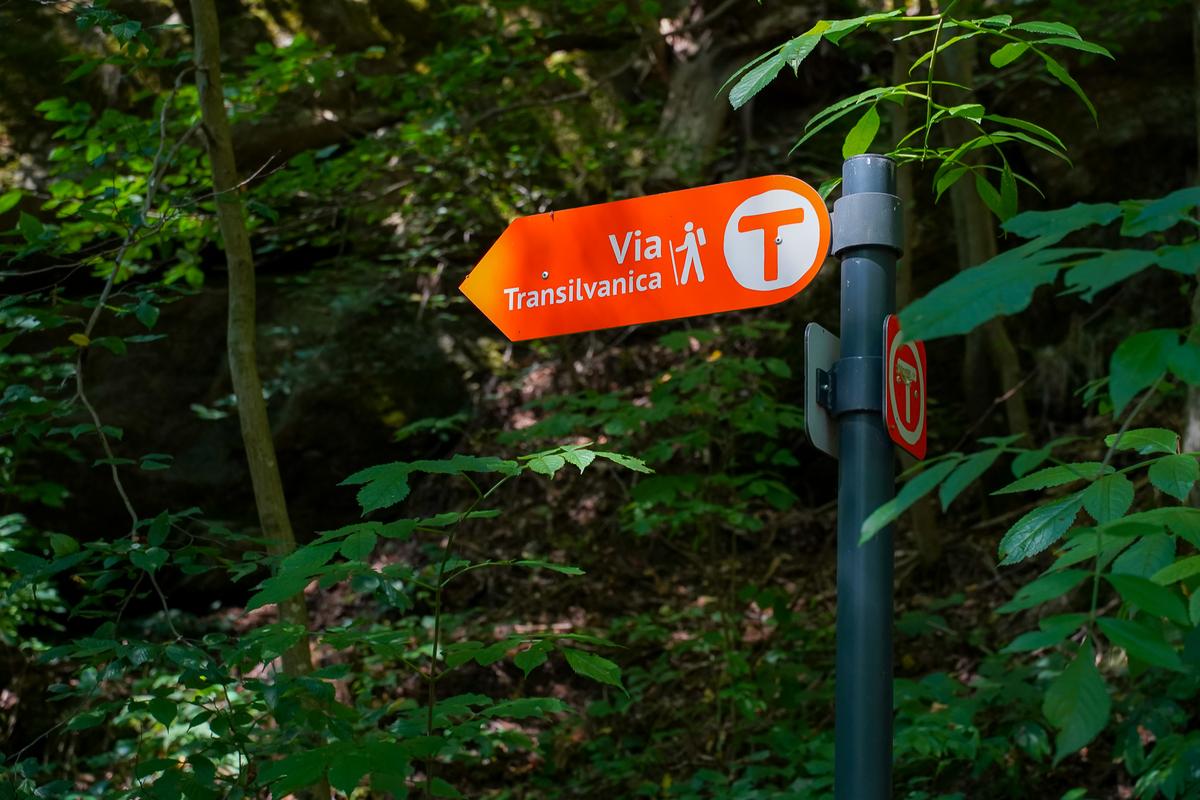 „Acest traseu mi-a schimbat percepția despre România” » Traseul Via Transilvanica poate fi explorat virtual pe Google Street View