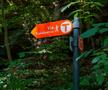 „Acest traseu mi-a schimbat percepția despre România” » Traseul Via Transilvanica poate fi explorat virtual pe Google Street View