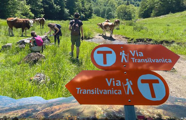 „Acest traseu mi-a schimbat percepția despre România” » Traseul Via Transilvanica poate fi explorat virtual pe Google Street View