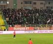 Conflict în galeria lui Dinamo la meciul cu FC Argeș