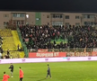 Conflict în galeria lui Dinamo la meciul cu FC Argeș