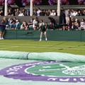Wimbledon nu are o categorie specială pentru acreditarea influencerilor / foto Imago Images