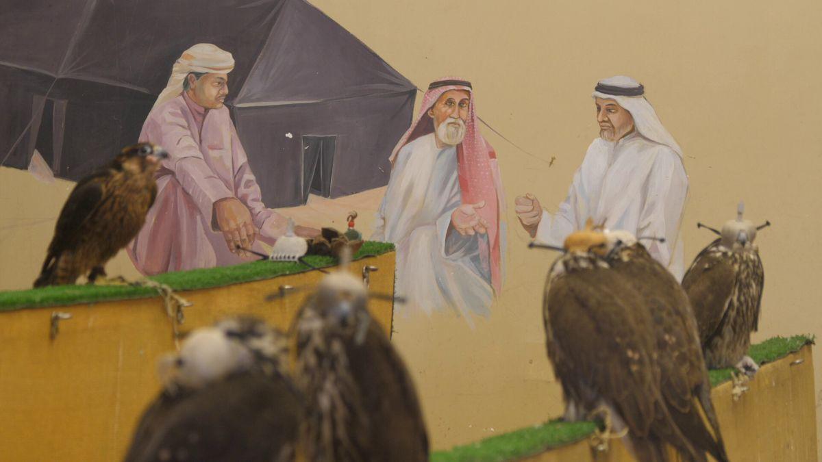 Spitalul de Șoimi din Doha arată mai bine decât Spitalele de oameni din România