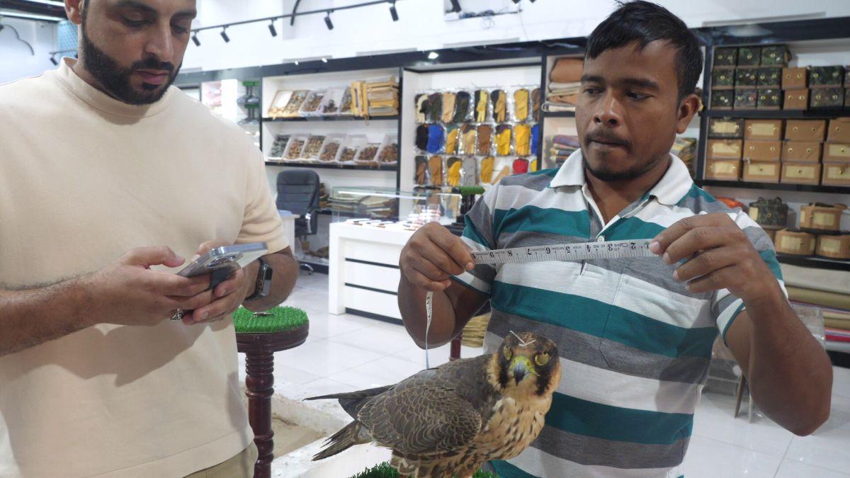 Spitalul de Șoimi din Doha arată mai bine decât spitalele de oameni din România! » Reportaj spectaculos de la trimișii speciali GSP la Mondial