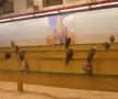 Spitalul de Șoimi din Doha arată mai bine decât Spitalele de oameni din România