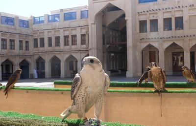 Spitalul de Șoimi din Doha arată mai bine decât spitalele de oameni din România! » Reportaj spectaculos de la trimișii speciali GSP la Mondial