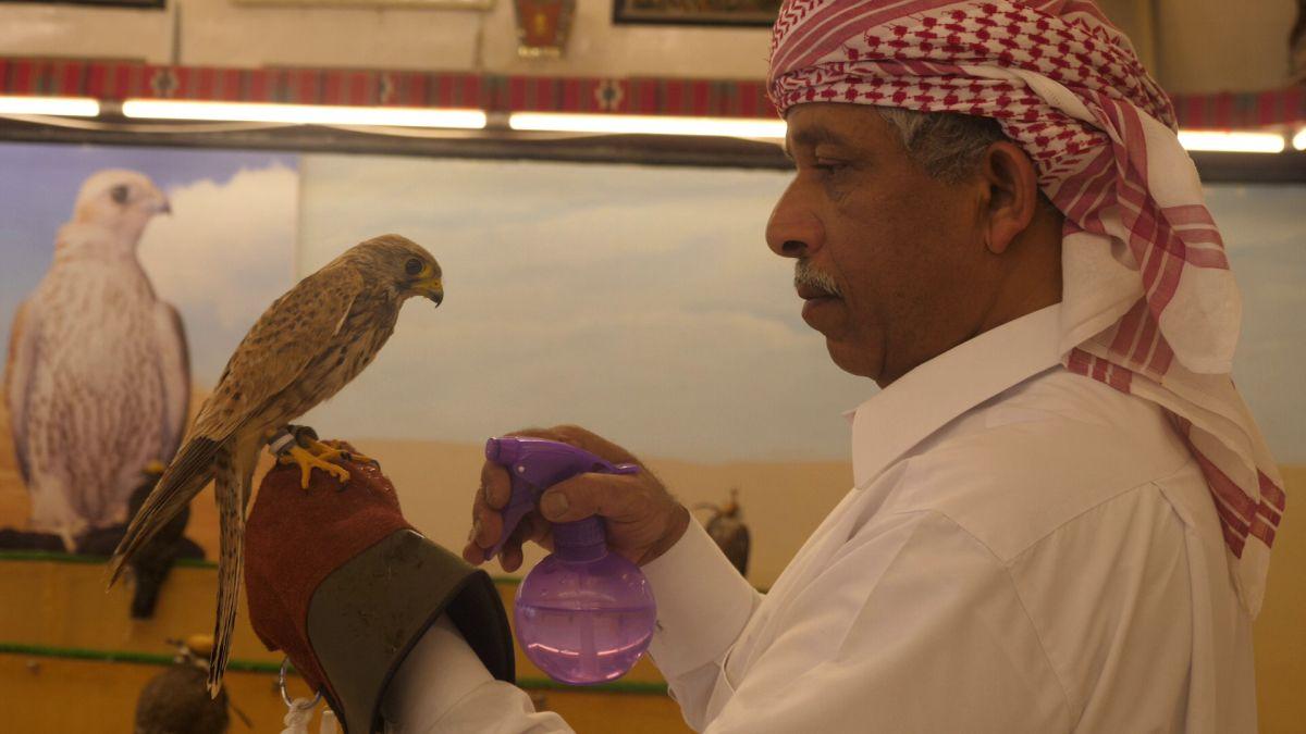 Spitalul de Șoimi din Doha arată mai bine decât spitalele de oameni din România! » Reportaj spectaculos de la trimișii speciali GSP la Mondial
