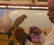 Spitalul de Șoimi din Doha arată mai bine decât Spitalele de oameni din România