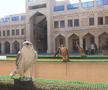 Spitalul de Șoimi din Doha arată mai bine decât Spitalele de oameni din România