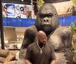 Legendarul Shaquille O'Neal, 51 de ani, a dezvăluit o poveste amuzantă cu o problemă pe care o întâmpină atunci când merge la grădina zoologică: gorilele nu îl plac deloc. Foto: Istagram Shaquille O'Neal