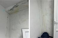 Imagini deplorabile cu stadionul unei echipe de tradiție, aflată pe val » Vestiarul stă să cadă, iar antrenorul n-a mai suportat