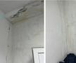 Partizan Belgrad a încheiat anul pe primul loc în Serbia, dar antrenorul Igor Duljaj se plânge de situația financiară și de condițiile precare de pregătire. Stadionul unde își joacă meciurile de pe teren propriu este într-o avansată stare de degradare.