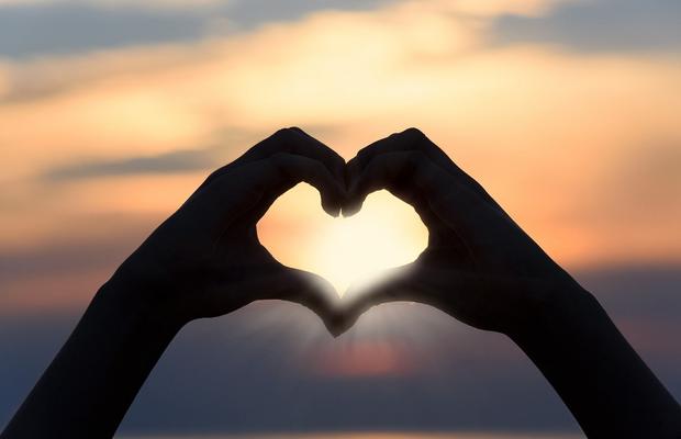 Ce flori poți oferi de Valentine Days? Vezi aici oferta celor de la Maison dOr
