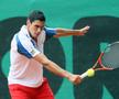 Victor Hănescu Foto: Imago