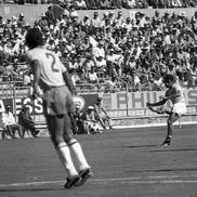 Sandu Neagu