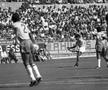 Sandu Neagu