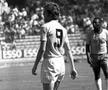 Dumitrache și Pele