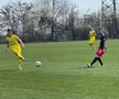 FOTO: Vlad Nedelea