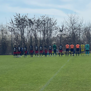 FOTO: Vlad Nedelea