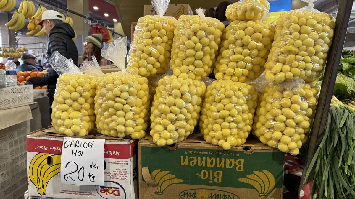 Grand Bazar Istanbul vs Obor București: Turcia - România