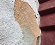 Imagini scandaloase! Zona Crepusculară la Arenele BNR, în centrul Bucureștiului » Jandarmii blochează accesul pentru un motiv incredibil: „Sunt «consensele» noastre”
