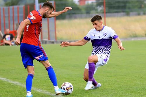 FC Argeș a retrogradat la finalul anului trecut, iar de atunci nu se regăsește / Sursă foto: Gabriela Neacșu