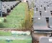 Imagini scandaloase! Zona Crepusculară la Arenele BNR, în centrul Bucureștiului » Jandarmii blochează accesul pentru un motiv incredibil: „Sunt «consensele» noastre”