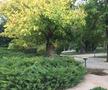Imagini scandaloase! Zona Crepusculară la Arenele BNR, în centrul Bucureștiului » Jandarmii blochează accesul pentru un motiv incredibil: „Sunt «consensele» noastre”