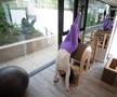 Diana Văduva în sala de Pilates FOTO: Ionuț Iordache (GSP)