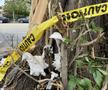 Alijah Arenas, fiul lui Gilbert Arenas, a fost implicat într-un accident / Foto: X