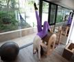 Diana Văduva în sala de Pilates FOTO: Ionuț Iordache (GSP)