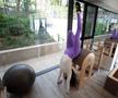 Diana Văduva în sala de Pilates FOTO: Ionuț Iordache (GSP)
