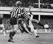 Premier League - evergreen