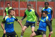 Verdictul doctorilor la FCSB: cât de grave sunt accidentările lui Cercel și Tavi Popescu