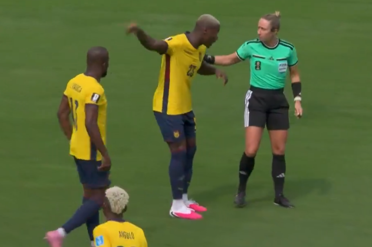 Gol Leroy Sane Ecuador - Germania