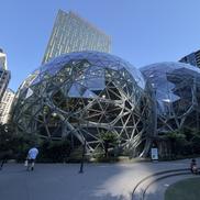 Imagini din Seattle - sediul Amazon FOTO: Ionuț Iordache (GSP)