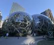 Imagini din Seattle - sediul Amazon FOTO: Ionuț Iordache (GSP)