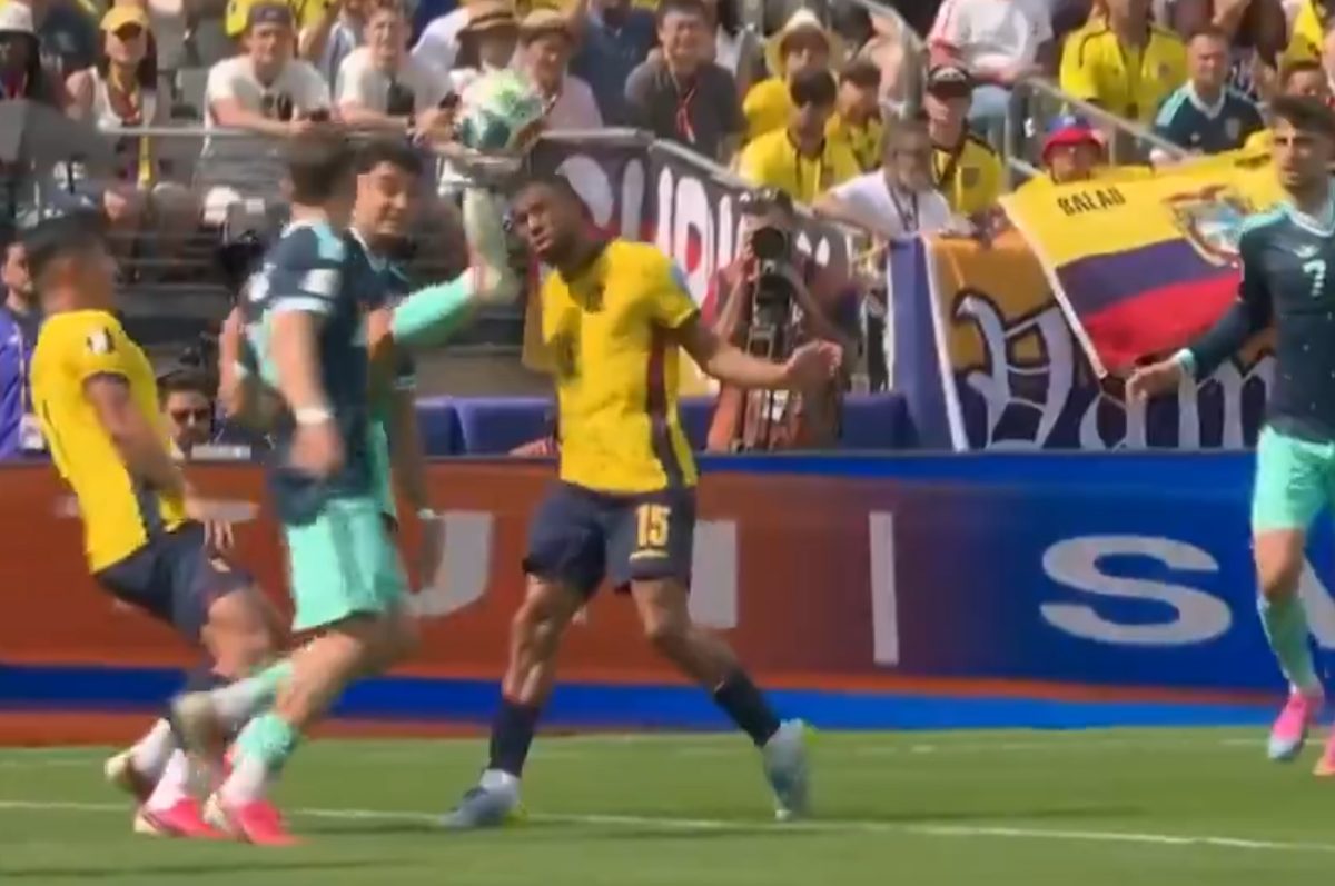 Gol Leroy Sane Ecuador - Germania