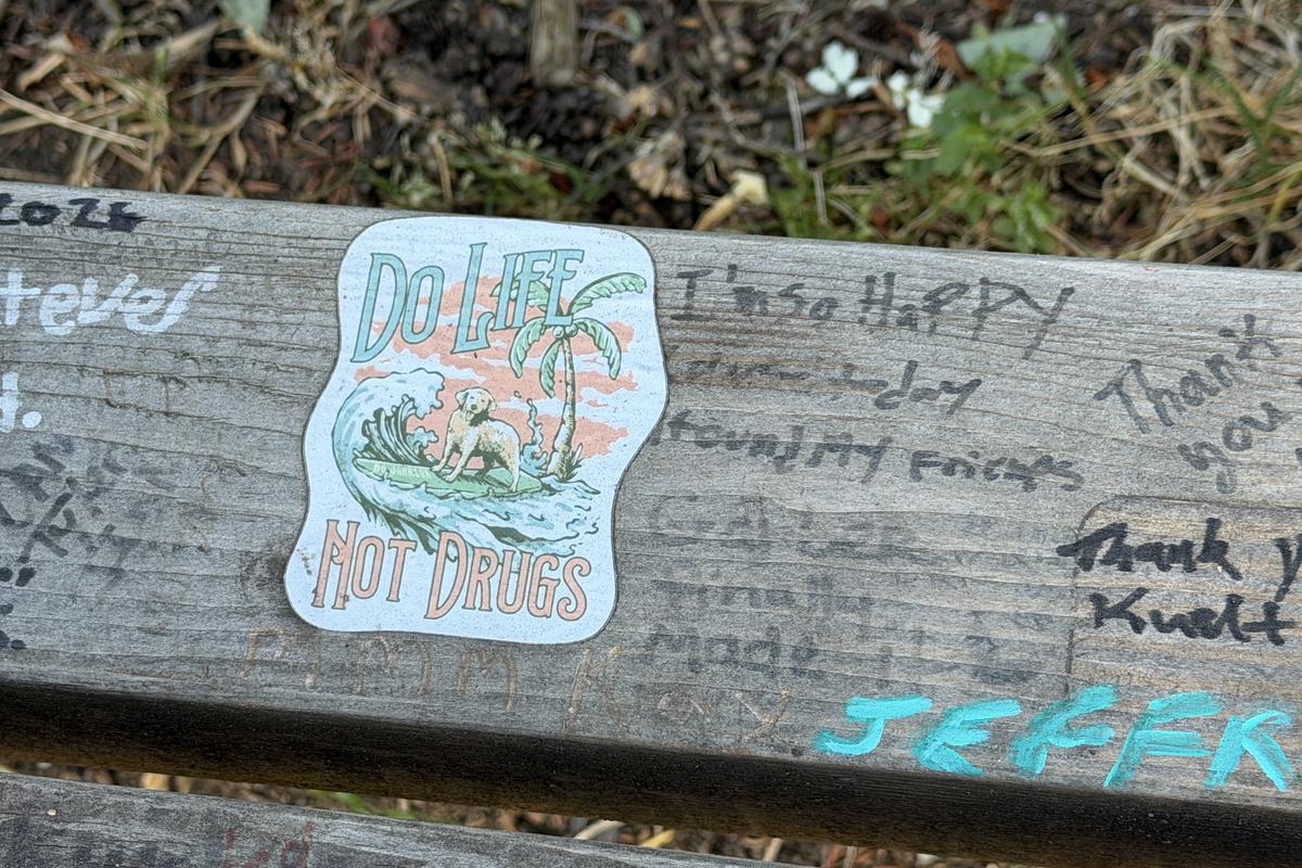 Nirvana în Seattle