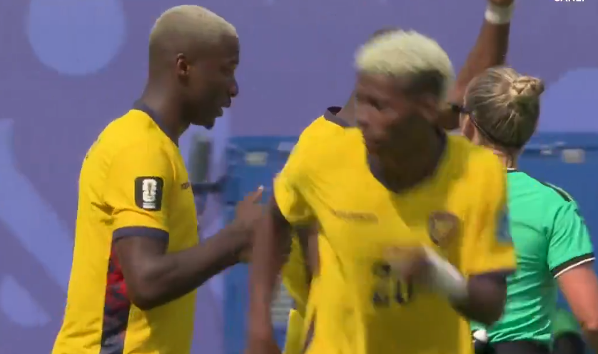 Gol Leroy Sane Ecuador - Germania