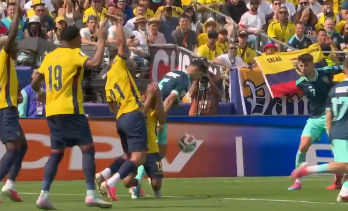 Gol Leroy Sane Ecuador - Germania