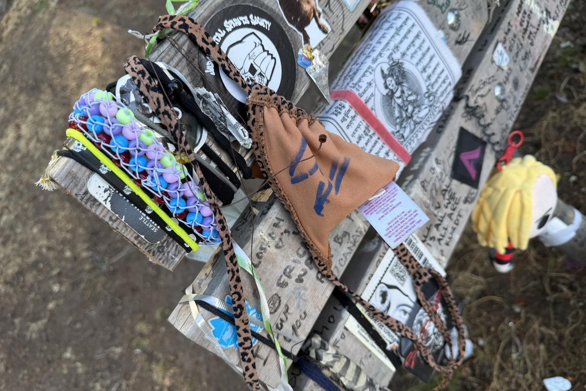 Nirvana în Seattle