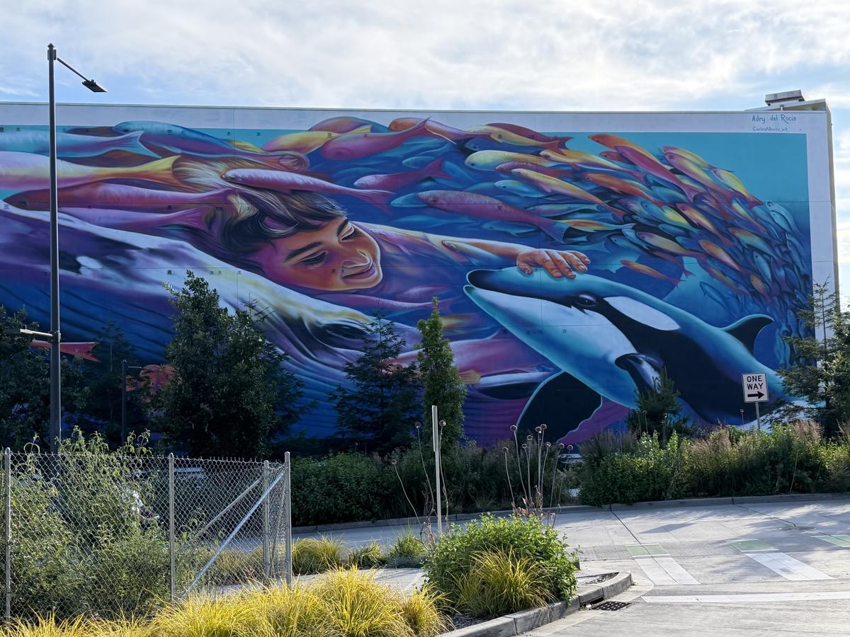 Imagini din Seattle