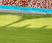 EXCLUSIV. Așa arată noul gazon montat pe Arena Națională. Foto: Andrei Crăițoiu (GSP.RO)