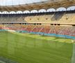 EXCLUSIV. Așa arată noul gazon montat pe Arena Națională. Foto: Andrei Crăițoiu (GSP.RO)