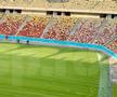EXCLUSIV. Așa arată noul gazon montat pe Arena Națională. Foto: Andrei Crăițoiu (GSP.RO)
