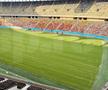 EXCLUSIV. Așa arată noul gazon montat pe Arena Națională. Foto: Andrei Crăițoiu (GSP.RO)