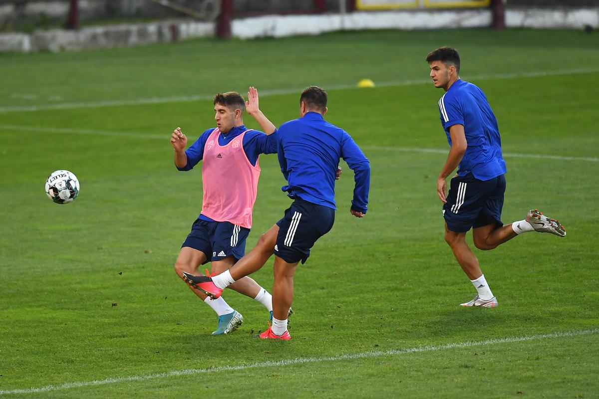 Dan Petrescu anunță că are bagajul la ușă: „Pot pleca după meciul cu croații”