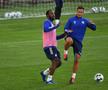 Dan Petrescu anunță că are bagajul la ușă: „Pot pleca după meciul cu croații”